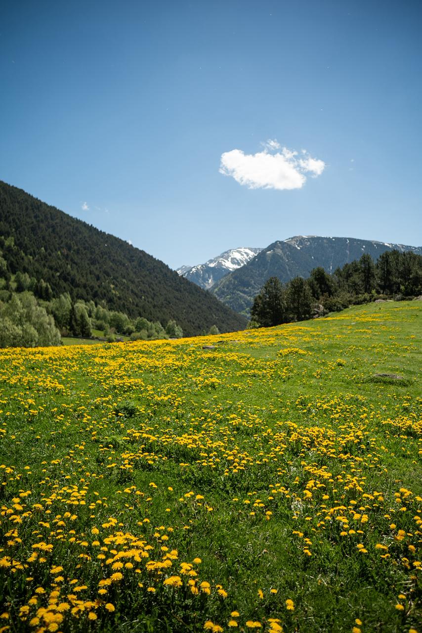 Prat de muntanya a Andorra