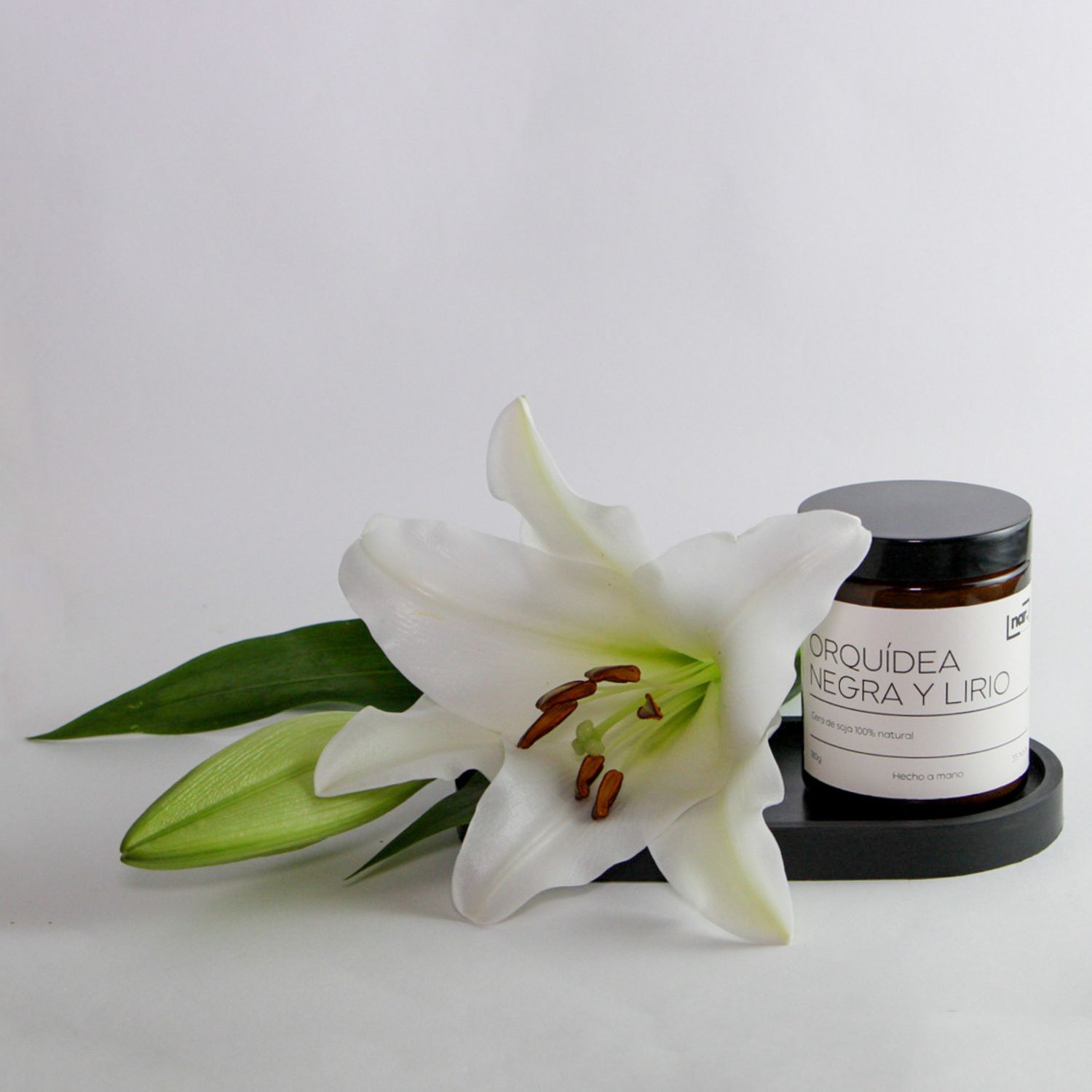Orquídia